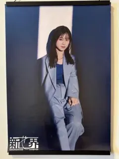 2025年最新】グループ名：欅坂46 ポスターの人気アイテム - メルカリ