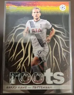 2026年最新】Harry kaneの人気アイテム - メルカリ