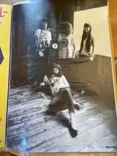 2026年最新】ドレスコーズ ポスターの人気アイテム - メルカリ