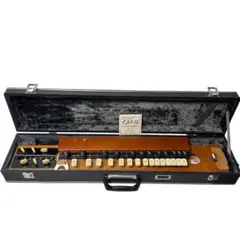 2026年最新】木村 大正琴の人気アイテム - メルカリ