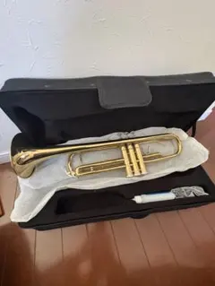 2026年最新】トロンボーン ケースの人気アイテム - メルカリ
