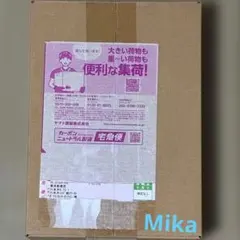 2026年最新】テラスタルフェスex box シュリンク 6の人気アイテム