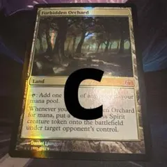 2026年最新】禁忌の果樹園 foilの人気アイテム - メルカリ