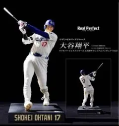 m28837569510_1.jpg?1769835870