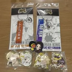 2026年最新】シャーマンキング ピンズの人気アイテム - メルカリ