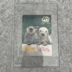 2026年最新】鳥羽水族館コレクションカードの人気アイテム - メルカリ