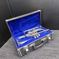 2026年最新】splendor トランペットの人気アイテム - メルカリ