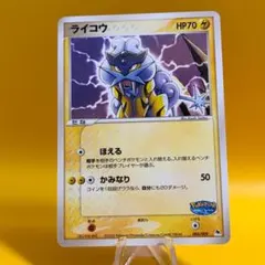 ライコウ ポケパークプレミアムファイル 005/009 - メルカリ