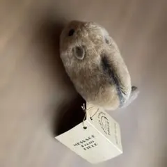 m29278506073_1.jpg?1770269567