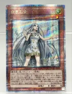 2026年最新】白き乙女 25thの人気アイテム - メルカリ