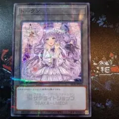 2026年最新】ヴァルモニカ・シェルタの人気アイテム - メルカリ