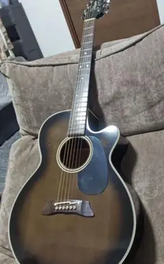 2026年最新】タカミネ pt106の人気アイテム - メルカリ