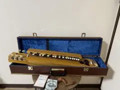 2026年最新】岡田流大正琴の人気アイテム - メルカリ