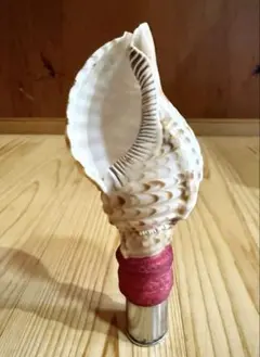 2026年最新】ホラガイの人気アイテム - メルカリ