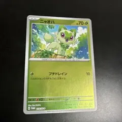 2026年最新】ポケカの夏がキタ！プロモカードGetキャンペーン！の人気