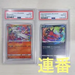 2026年最新】アメイジングイベルタルの人気アイテム - メルカリ