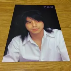 2026年最新】エレファントカシマシ paoの人気アイテム - メルカリ