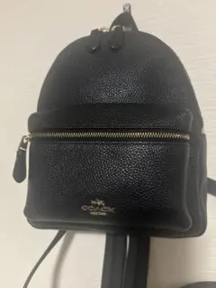 2026年最新】coach ミニリュックの人気アイテム - メルカリ