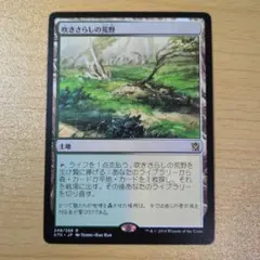 2026年最新】フェッチランドの人気アイテム - メルカリ