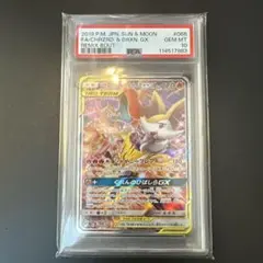 2026年最新】リザードン テールナー saの人気アイテム - メルカリ