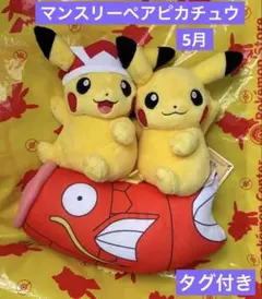 2026年最新】ポケモンセンター マンスリーペアピカチュウの人気