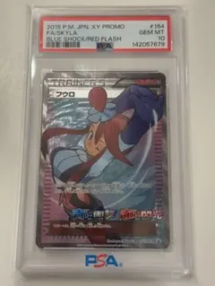 2026年最新】フウロ プロモ psa10の人気アイテム - メルカリ