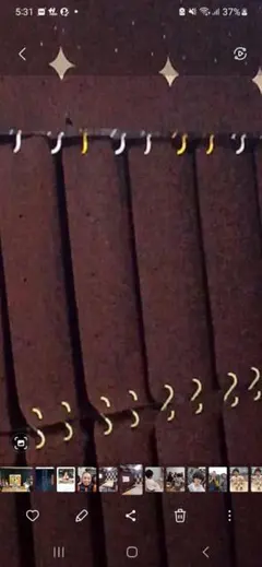 2026年最新】サンテクレアール トリマの人気アイテム - メルカリ