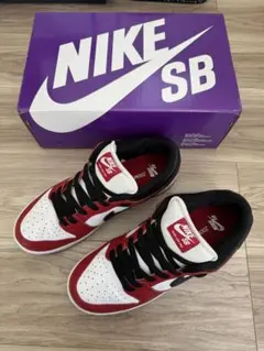 2026年最新】NIkE sb dunk low pro 