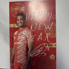 2026年最新】サントリーサンバーズ サインの人気アイテム - メルカリ