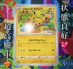 2026年最新】救助隊dxのピカチュウ psa10の人気アイテム - メルカリ
