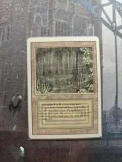 2026年最新】mtg bayouの人気アイテム - メルカリ