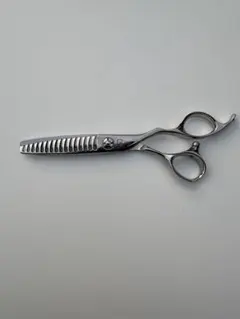 2026年最新】ドラゴンクローシザーの人気アイテム - メルカリ