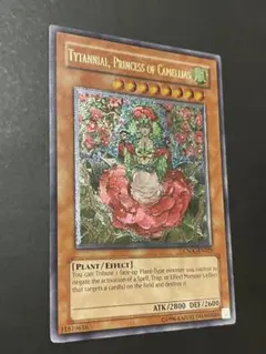 2026年最新】ティタニアル レリーフの人気アイテム - メルカリ