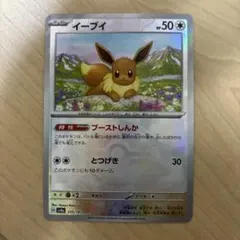 2026年最新】テラスタルフェスex イーブイ マスターボールの人気