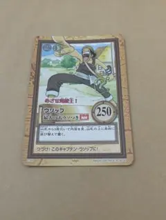 2026年最新】めざせ海賊王の人気アイテム - メルカリ