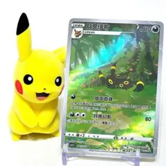 ブラッキーex sar海外版 161/131 - メルカリ