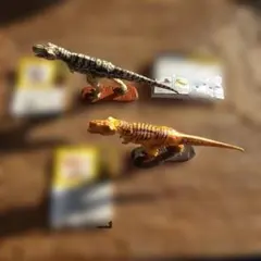 2026年最新】チョコラザウルス シークレットの人気アイテム - メルカリ