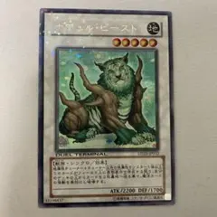 2026年最新】ナチュルビースト シクの人気アイテム - メルカリ