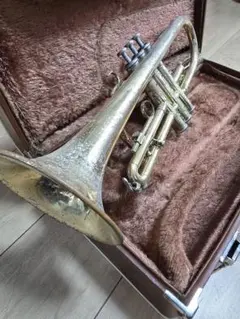 2026年最新】yamaha ycr2311の人気アイテム - メルカリ