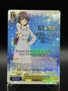 2026年最新】桜島麻衣 spの人気アイテム - メルカリ