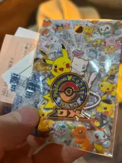 2026年最新】ポケモンセンタートウキョーDX ロゴピンズの人気アイテム