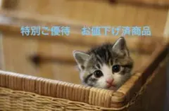 2026年最新】エネルギーつけかえ urの人気アイテム - メルカリ