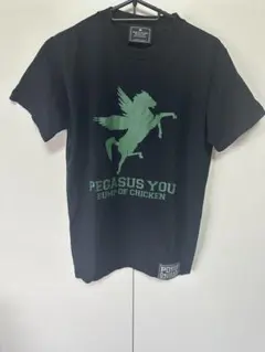 2026年最新】バンプオブチキン pegasusの人気アイテム - メルカリ