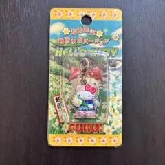 2026年最新】福井ご当地キティちゃんの人気アイテム - メルカリ