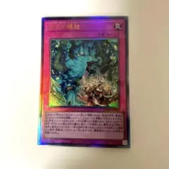 2026年最新】命王の螺旋の人気アイテム - メルカリ