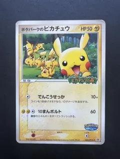 ポケパークのピカチュウ プロモ - メルカリ