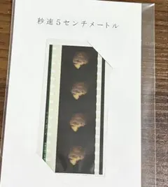 2026年最新】秒速5センチメートル フィルムの人気アイテム - メルカリ