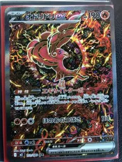 2026年最新】オドリドリex SARの人気アイテム - メルカリ