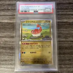 2026年最新】201/SV-P シャリタツの人気アイテム - メルカリ