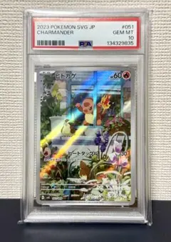 2026年最新】スペシャルデッキセット ヒトカゲの人気アイテム - メルカリ